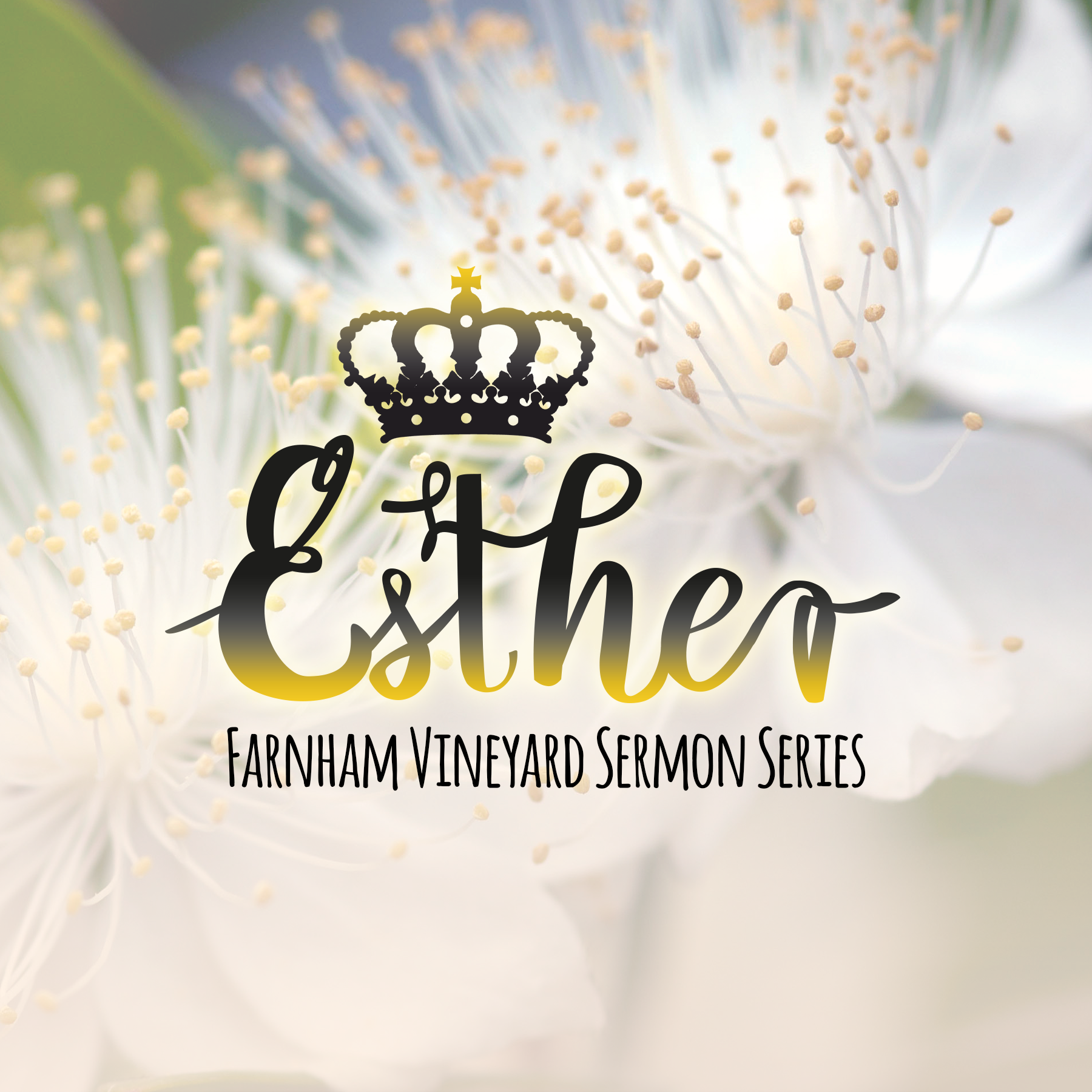 Esther 6v14-7v1-10