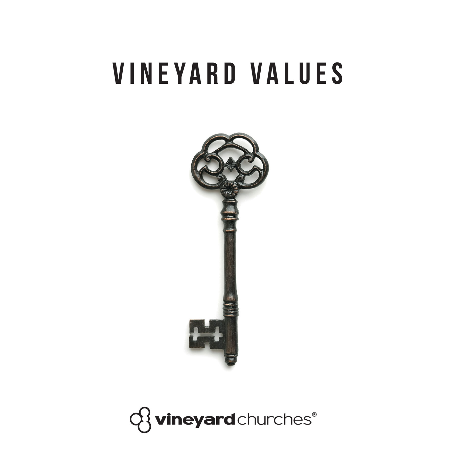 The Story of Vineyard